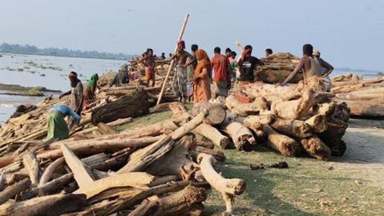 "চন্দন" ভেবে নদীতে ঝাঁপ, তা আসলে কী?