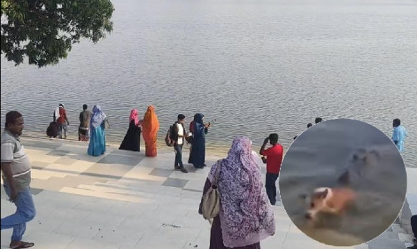 বাগেরহাটে কুমিরের আক্রমণে মৃত কুকুর জলাতঙ্কে আক্রান্ত ছিল